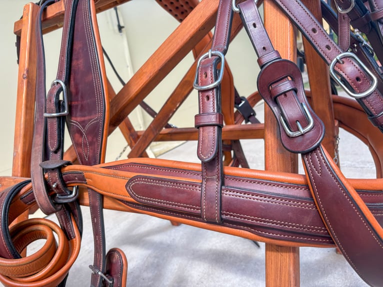 Two-pony marathon harness