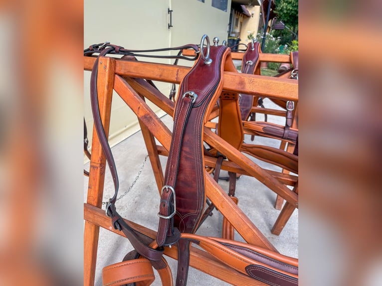 Two-pony marathon harness