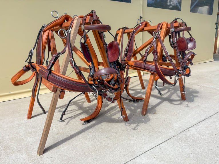 Two-pony marathon harness