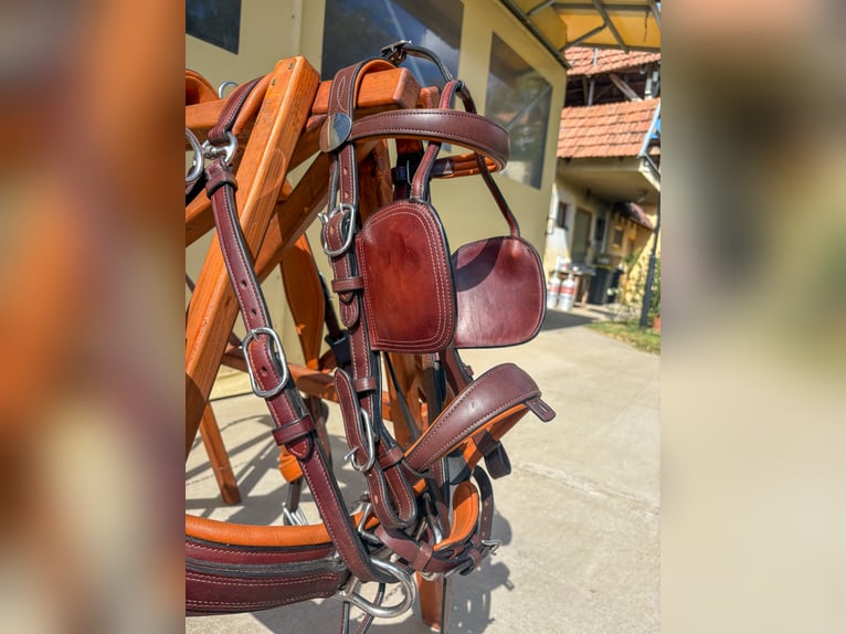 Two-pony marathon harness