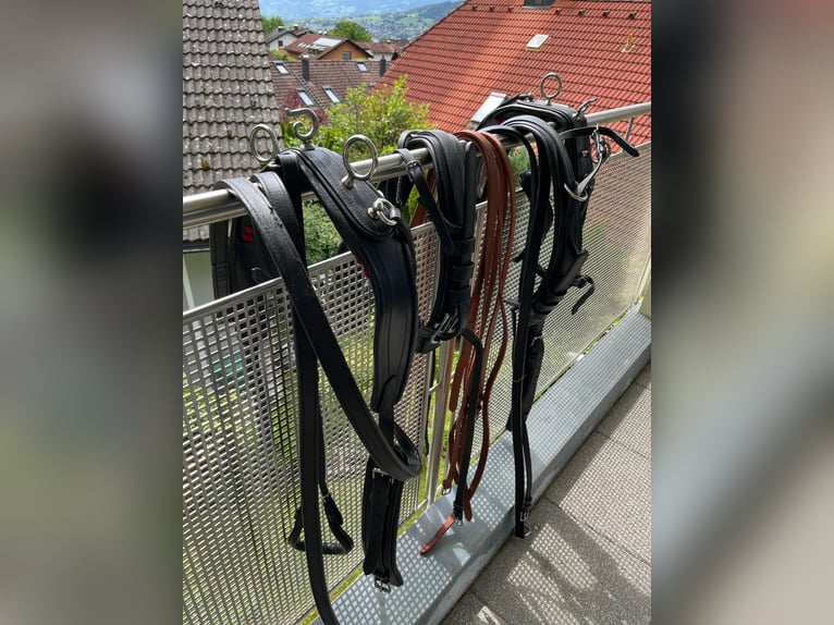 Zweispänner-Brustblattgeschirr für Ponys Stckm.  1,20m