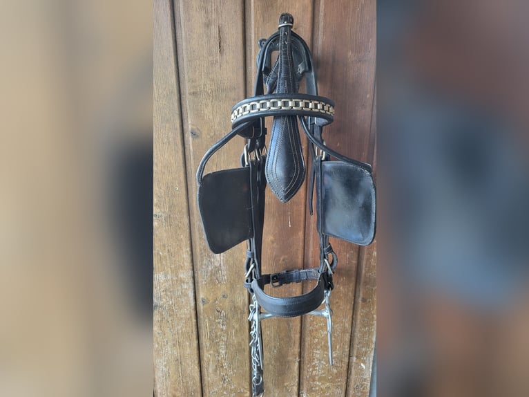 Bridle and driving rein