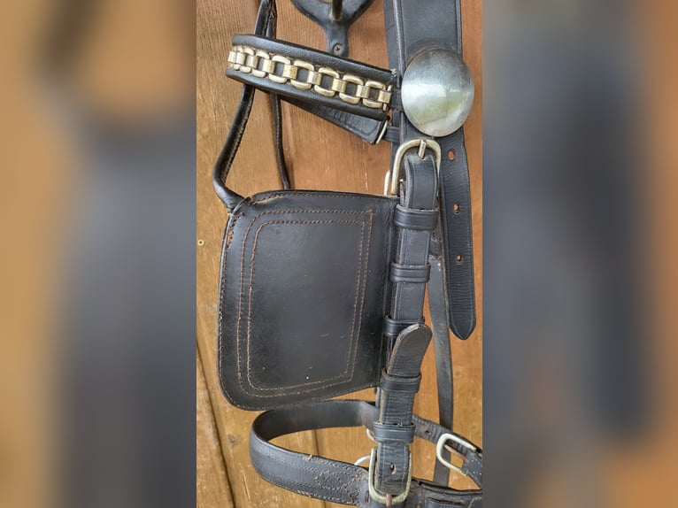 Bridle and driving rein