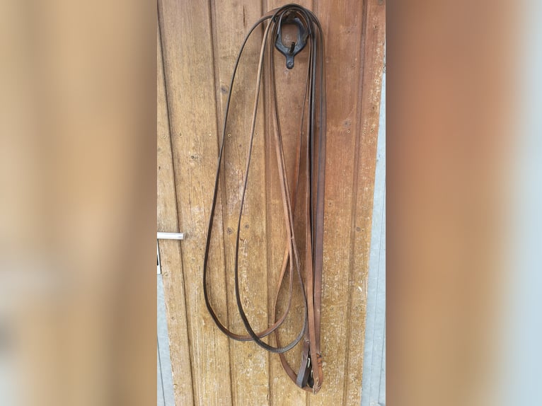 Bridle and driving rein