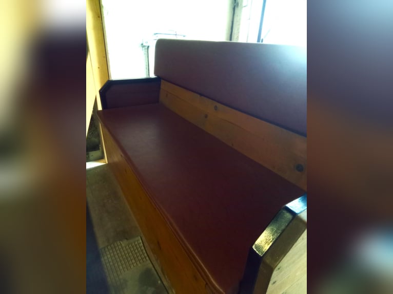 Carriage, horse-drawn carriage, padded bench seat, and transport platform
