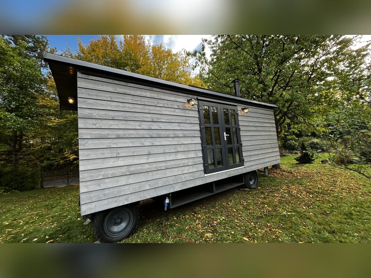 Circus wagon – for life. Or for business.