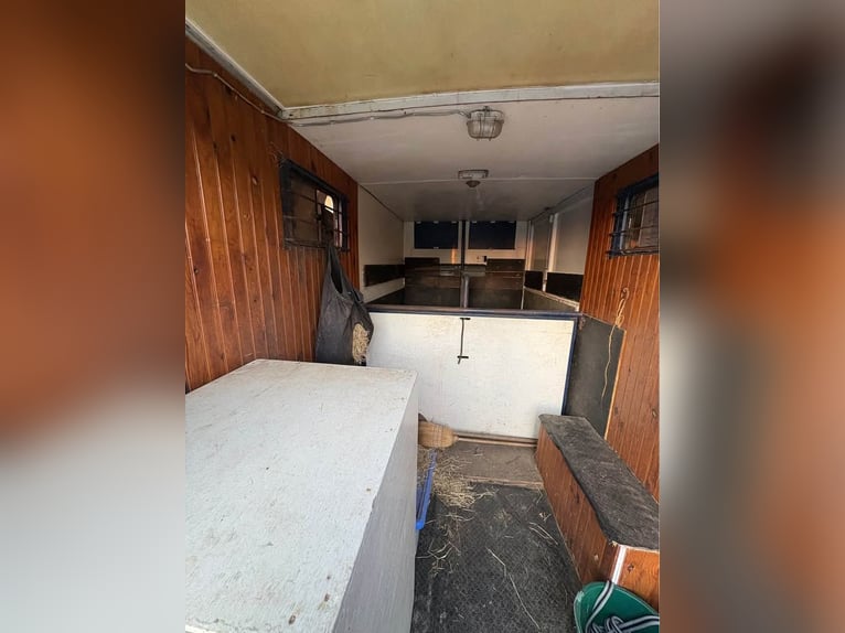 DON of Horses, born in 1990, Renault Master