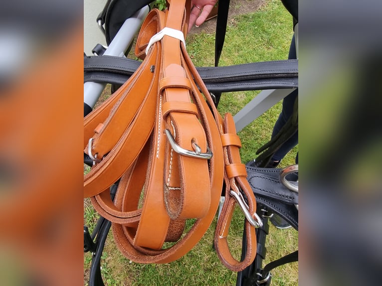 Einspänner Brustblatt-Kutschgeschirr der Sattlerei Meinecke für Warmblut. 