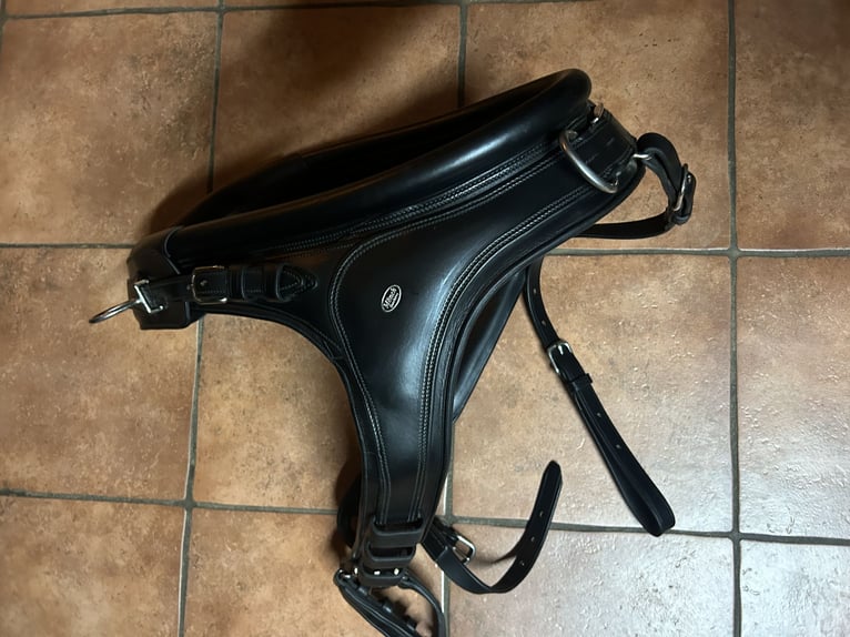 Fa Mönch Marathon Kombis