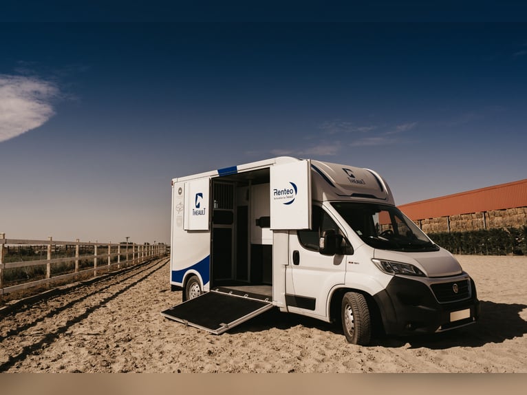 Horse trailer FIRSTEO Theault – for rent