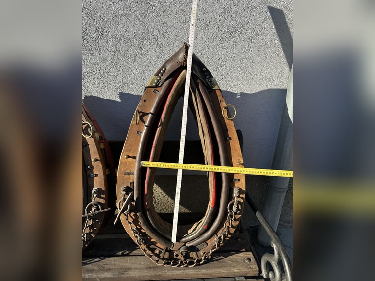 Noriker harness bridle