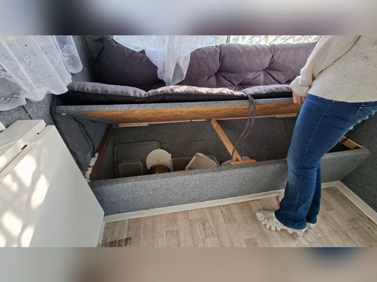 Wohnwagen umgebaut zur Sattelkammer