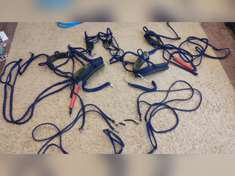  Zweispänner Pony Geschirr von Sieltec 