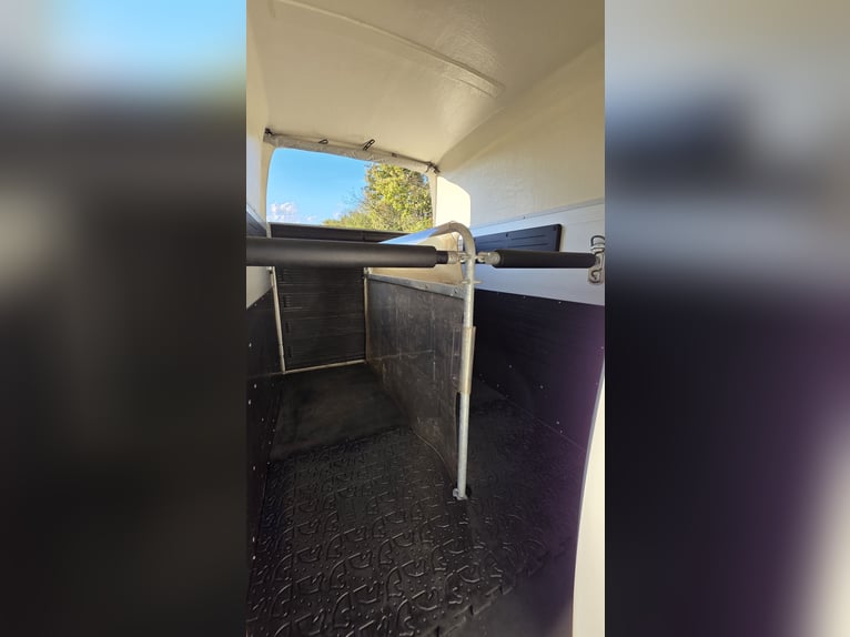 Böckmann Big Champion R WCF Plus horse trailer – Very well maintained, first owner