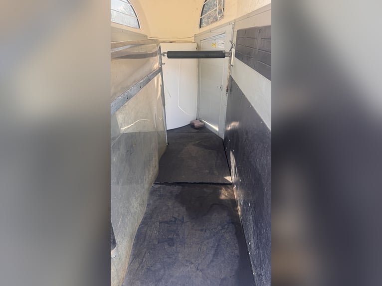 Böckmann Champion R – aluminium floor, roadworthiness inspection valid until 04/2028, large tack roo