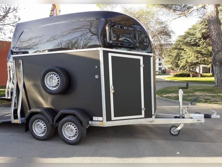 Duo Bockmann Esprit, 2021, brand new