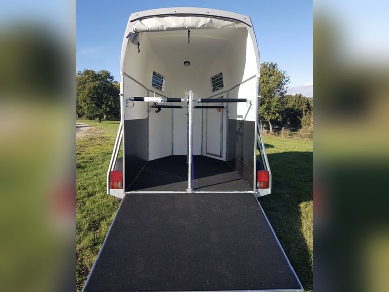 Duo Bockmann Esprit, 2021, brand new