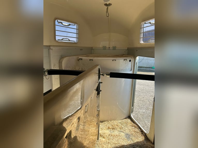 Humbauer Horse Trailer Xanthos