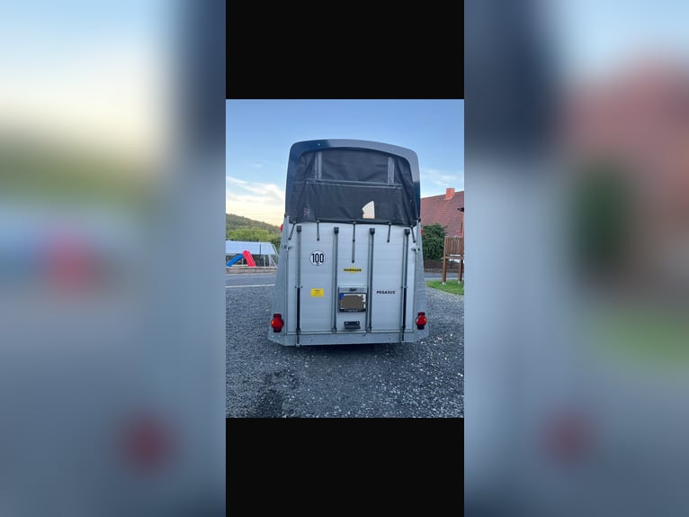 Humbaur Pegasus 2400 Horse Trailer