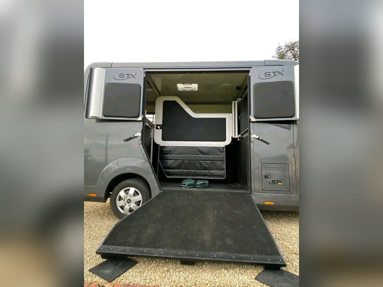 Light commercial truck STX with space for 2 horses, 5-seat cab.