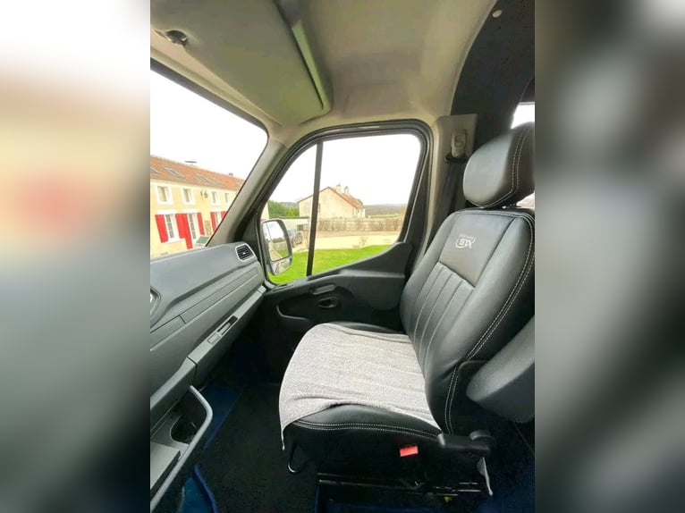 Light commercial truck STX with space for 2 horses, 5-seat cab.