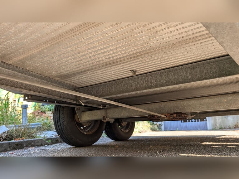 WM Meyer Memphis Horse Trailer (2-berth) | Aluminum Floor | TÜV valid until 12/2026