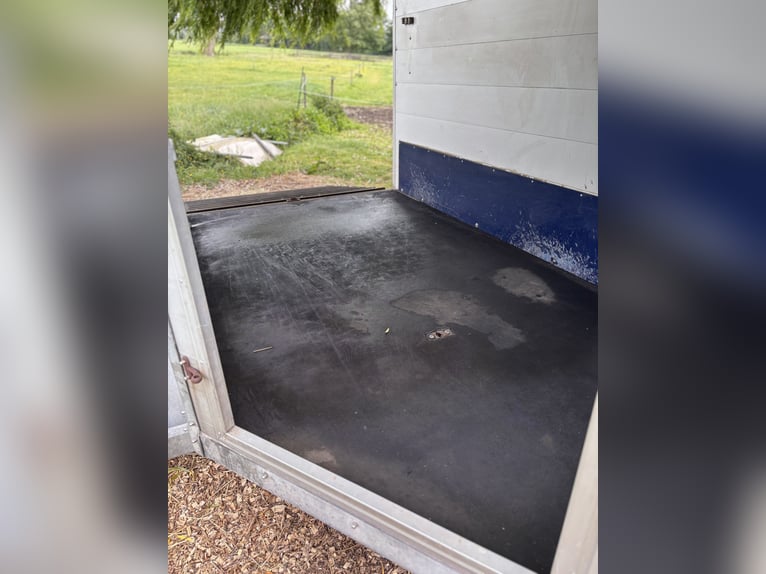 2 Paards Bockmann P20 zeer goed onderhouden extra hoog