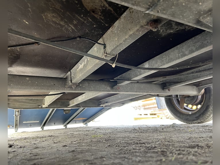 Böckmann horse trailer with carriage Plato