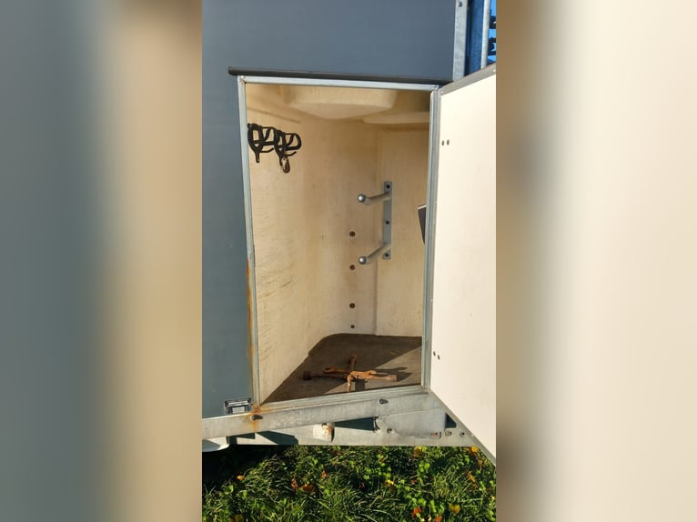 Pferdeanhänger mit Kutschenaufsatz hinten