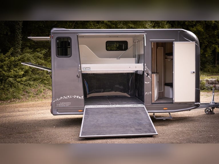 2-Horse Trailer with Living Quarters and Shower – Horse Transport Truck