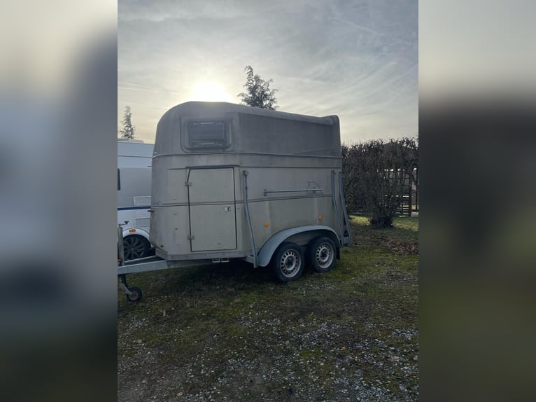 Böckmann Classic Fully Enclosed 2-Horse Trailer