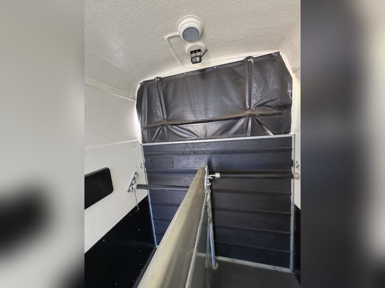 Careliner M / Premium Horse Trailer / Excellent Condition