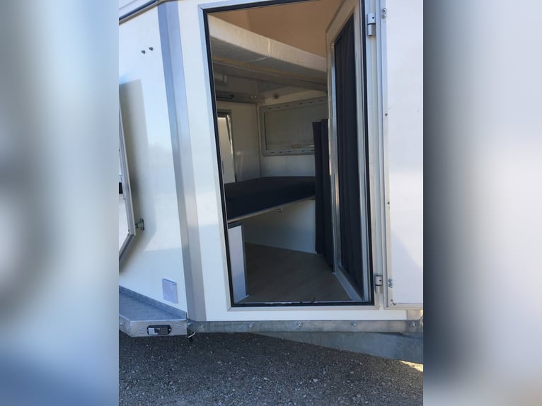 Cheval Liberté 2-Horse Home Car