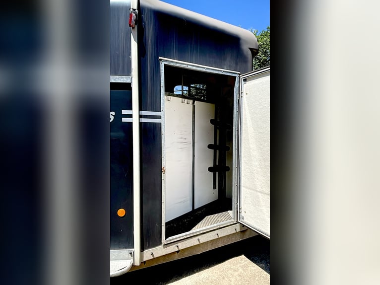 FAUTRAS PROMAX 3 horse trailer, diagonal model