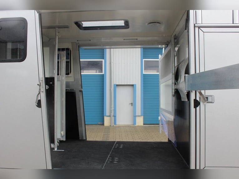 Horse trailer with 2 ramps, new model, stallion horse transporter, truck, special edition