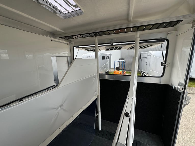 Horse transporter 2-3 horse trailer with spacious living area, 3.5 tons