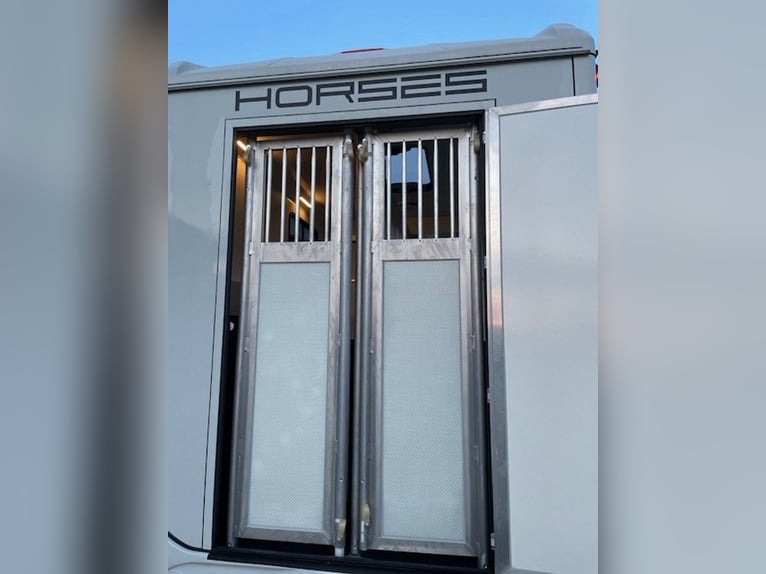 Horse transporter, horse trailer DT Trailer, stallion with living quarters, horse trailer