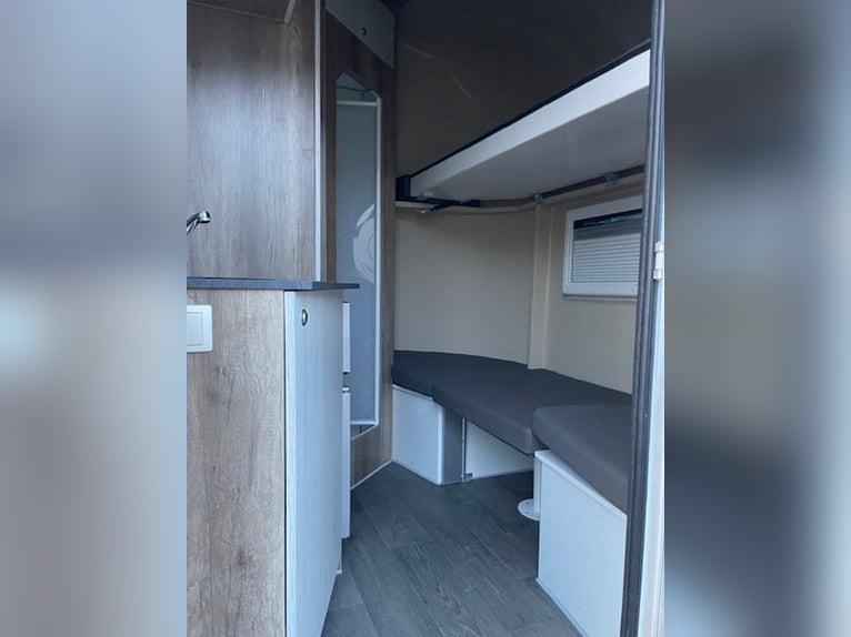 Horse transporter, horse trailer DT Trailer, stallion with living quarters, horse trailer