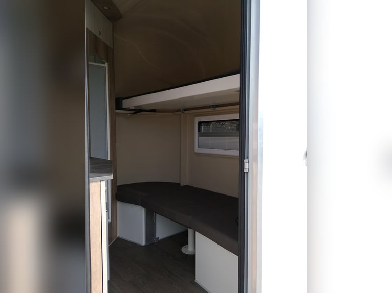 Horse transporter, horse trailer DT Trailer, stallion with living quarters, horse trailer, paardentr