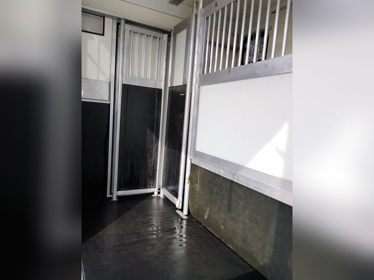 Horse transporter, horse trailer DT Trailer, stallion with living quarters, horse trailer, paardentr