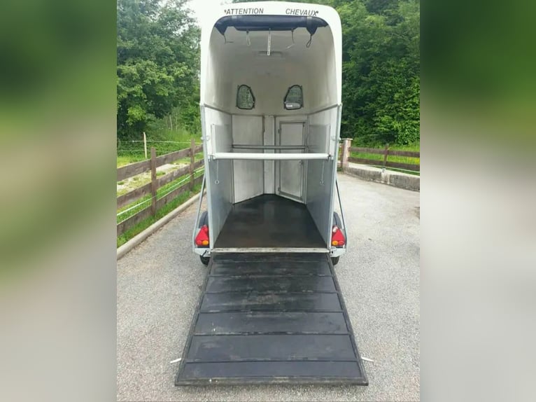 Liberty horse with 1.5 seats