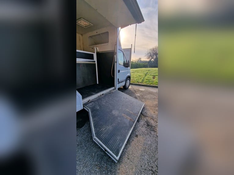 Light commercial vehicle for 2 horses, 120 HP