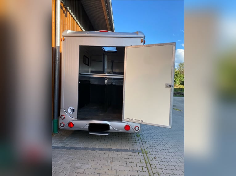 Pferdeanhänger Steinsberger / Dickenherr Anka 2 Pferde Hängers 