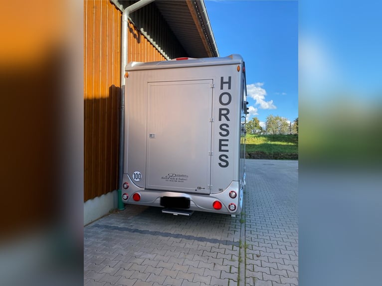 Pferdeanhänger Steinsberger / Dickenherr Anka 2 Pferde Hängers 