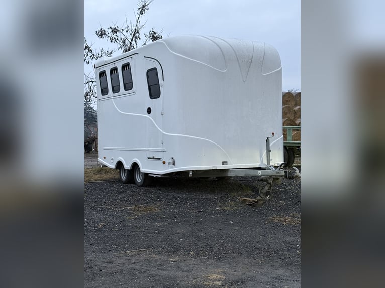 Steinsberger 3-Horse Trailer