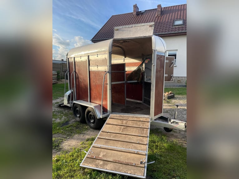 Trailer for transporting two horses