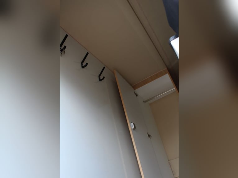 Two-horse trailer with small living compartment, 2.7 tons, horse transporter, stallion equipment