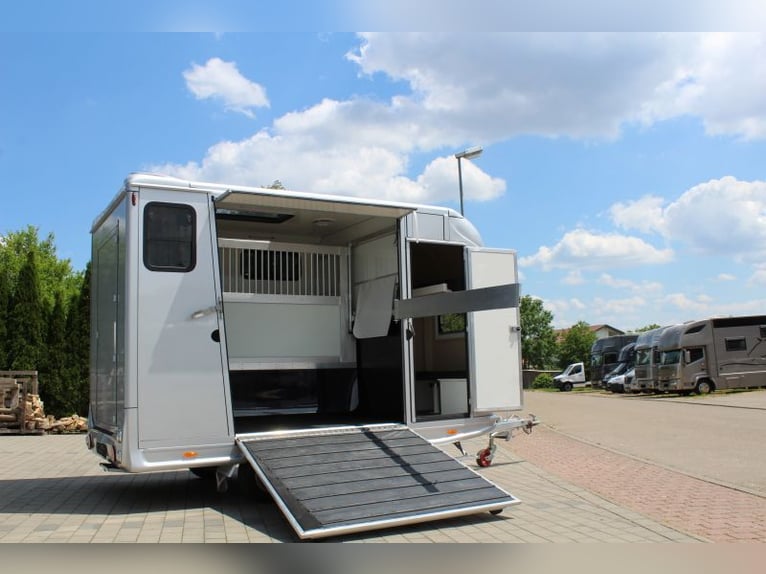 Two-horse trailer with small living compartment, 2.7 tons, horse transporter, stallion equipment