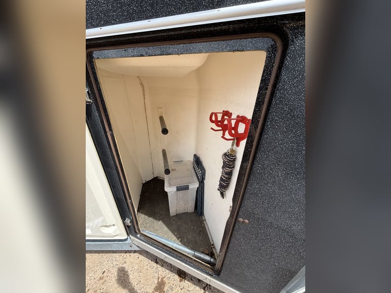 Blomert Horse Trailer for 2 Horses | 2-tonne | Tack Room | NEW BRAKES | Valid TÜV until 09/2028