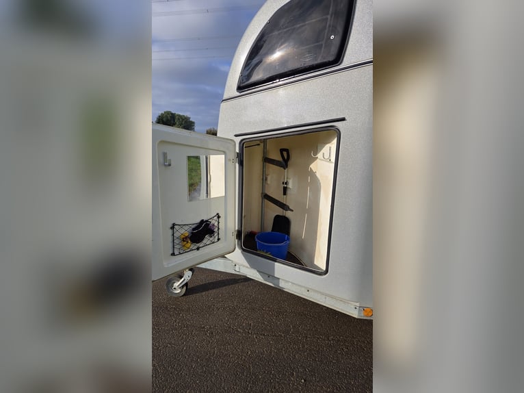 Böckmann Comfort horse trailer (Year of manufacture 2015) – TÜV valid until 06/2027 – Aluminum floor